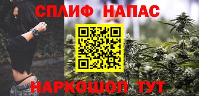 сатива Камень-на-Оби