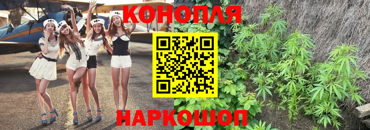 Бошки Шишки план Кудымкар
